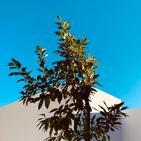 Azahar, Marbella Bed & Breakfast